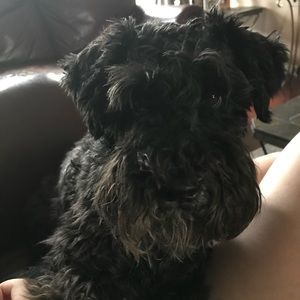 Meet your Posher, Sonia